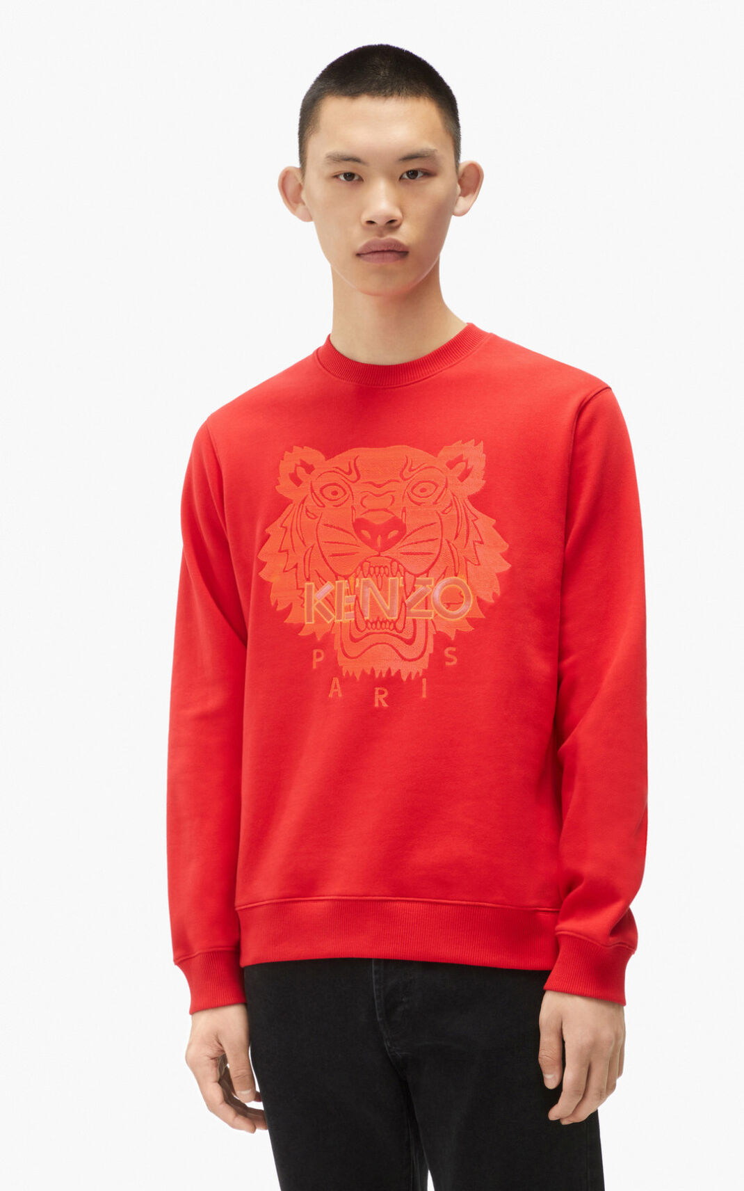 Kenzo Tiger Sweatshirt Herr | 01263-YTLK